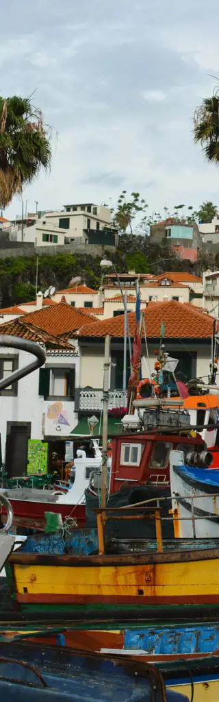 Portugal: zwei Städtereisen, Algarve und Madeira